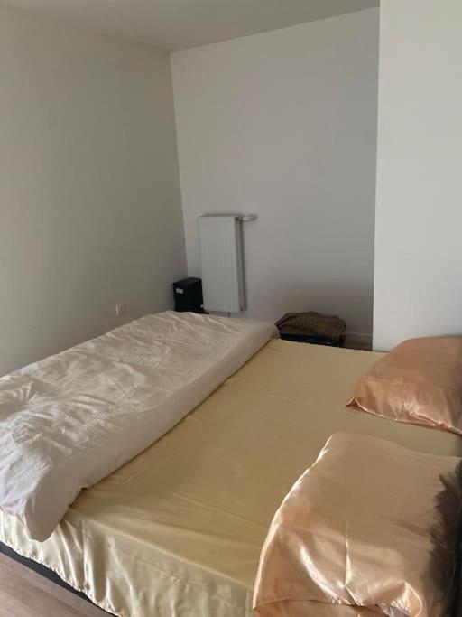 Grand Appartement Entier Situe A Ольне-су-Буа Екстер'єр фото